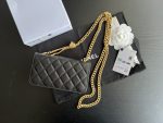 Chanel CC WOC Bag Black (1)