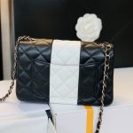 Chanel Mini Flap Bag Black For Women 7.8in20cm (4)