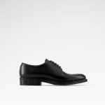 Louis Vuitton LV Flex Derby Black (5)