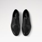 Louis Vuitton LV Flex Derby Black (5)