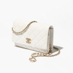chanel-wallet-on-chain-14